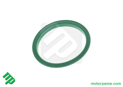 guarnizione can-am 709000208  ()